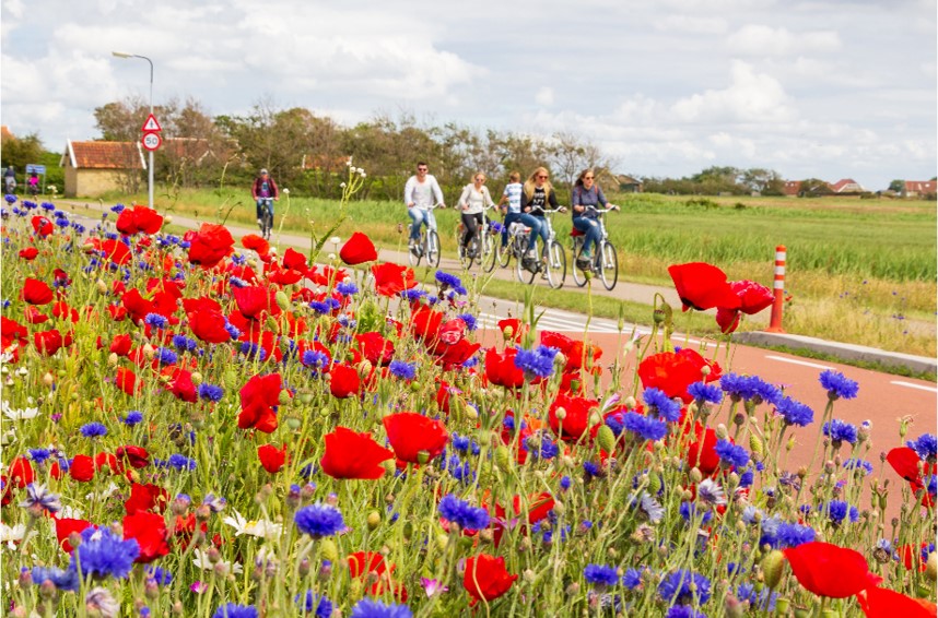 Image about: Toekomstverkenning bevestigt belang preventie